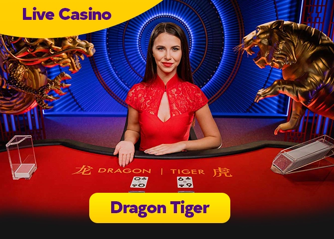 dragon tiger live casino Myanmar