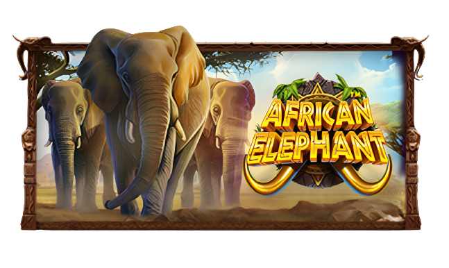 african elephant slot game PP Myanmar